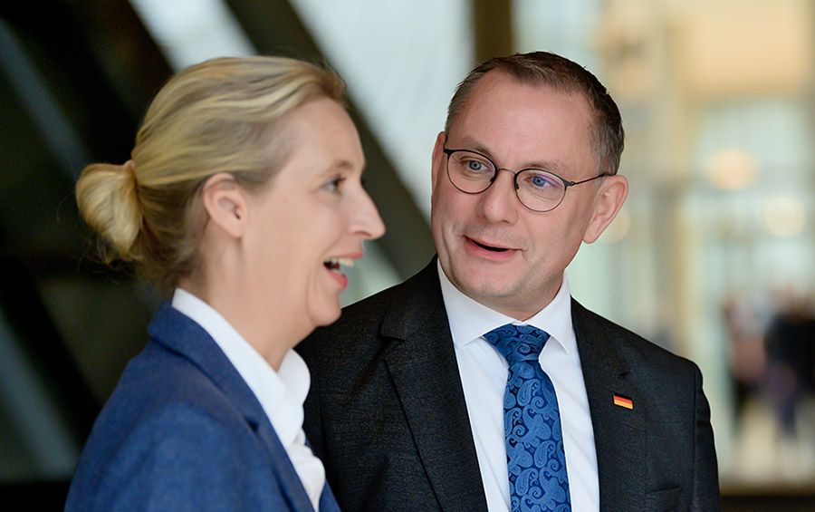 alice weidel und tino chrupalla