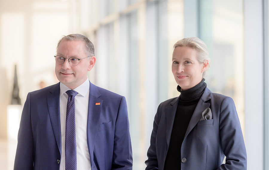 alice weidel tina chrupalla