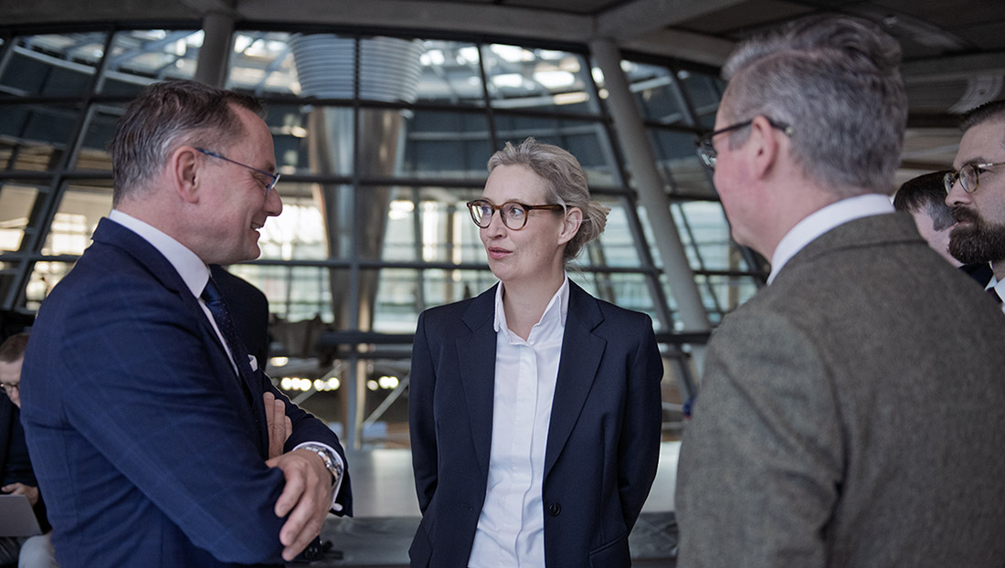 alice weidel tino chrupalla